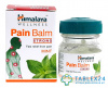 Pain Balm 10 gm