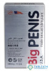 Big Penis