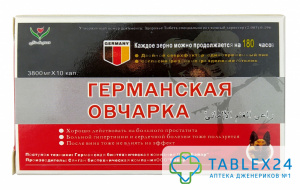 Германская овчарка