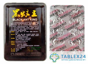 Королевский черный муравей